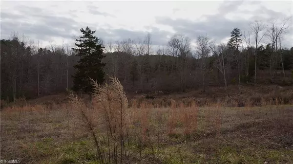 0000000 Waterside DR, Yanceyville, NC 27379