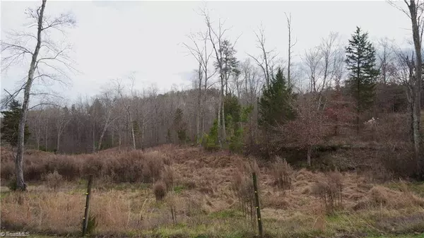 0000000 Waterside DR, Yanceyville, NC 27379