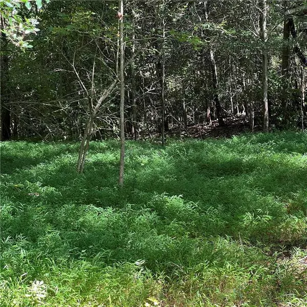 2218 Carter DR, Cumming, GA 30041