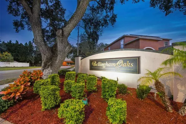 6049 LANSHIRE DR, Tampa, FL 33634