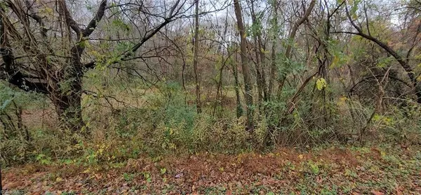 0 Loretta LN, Tobaccoville, NC 27050