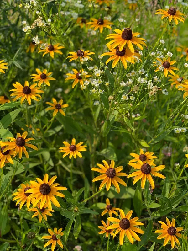 N7215 Hwy 65, River Falls, WI 54022