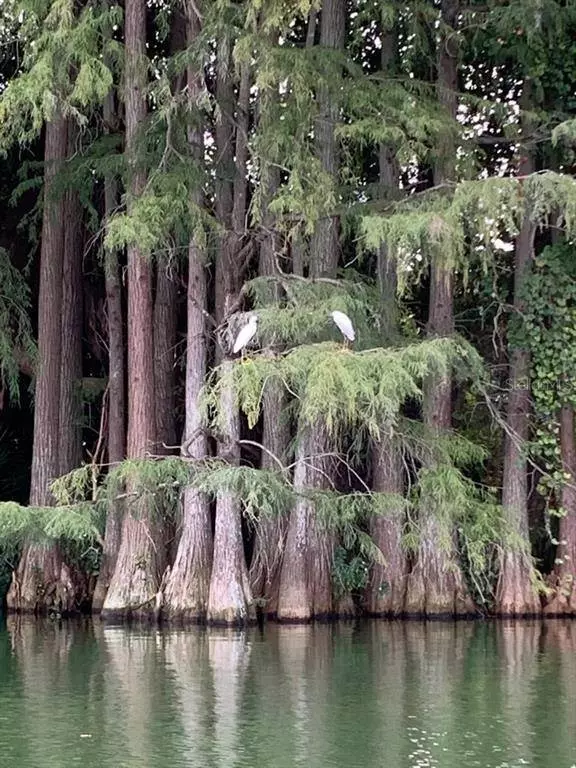 2225 HOLDEN AVE #105, Orlando, FL 32839