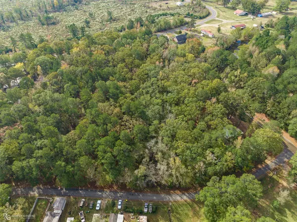 0 Highway 163, Doyline, LA 71023