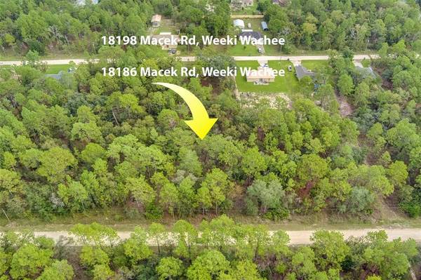 18198 MACEK RD, Weeki Wachee, FL 34614