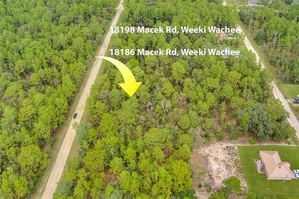 18186 MACEK RD, Weeki Wachee, FL 34614