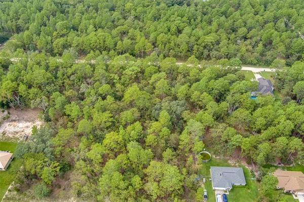 18198 MACEK RD, Weeki Wachee, FL 34614