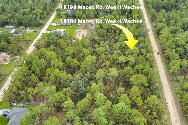 18198 MACEK RD, Weeki Wachee, FL 34614