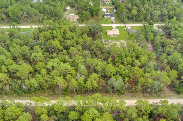 18198 MACEK RD, Weeki Wachee, FL 34614