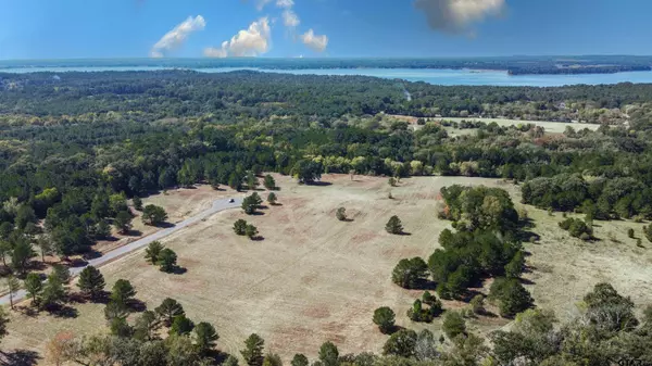 15809 Aniston Ln, Flint, TX 75762