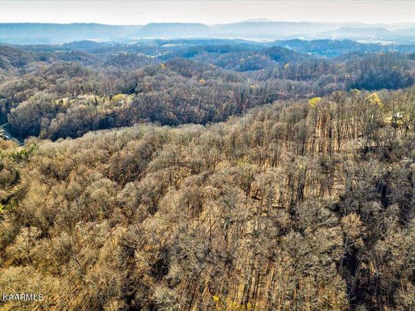 Reesor Hollow Rd, Church Hill, TN 37642