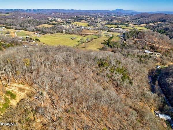 Reesor Hollow Rd, Church Hill, TN 37642