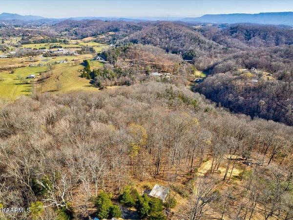 Reesor Hollow Rd, Church Hill, TN 37642