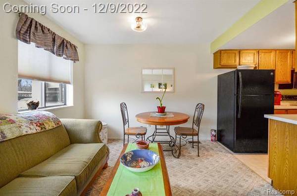 27558 Harrison Woods Lane, Harrison Twp, MI 48045