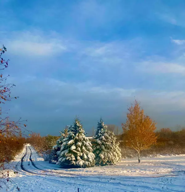 14485 110th ST, Milo Twp, MN 56330