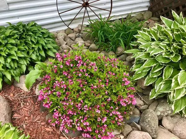 14485 110th ST, Milo Twp, MN 56330