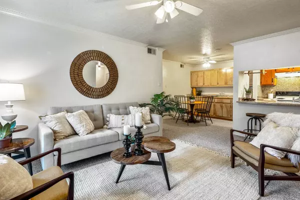 505 Oppenheimer DR #706, Los Alamos, NM 87544