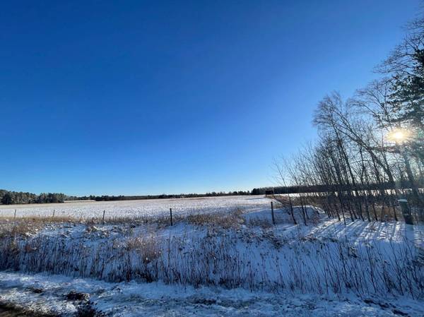 TBD Bungo Creek DR SW, Pine River Twp, MN 56474