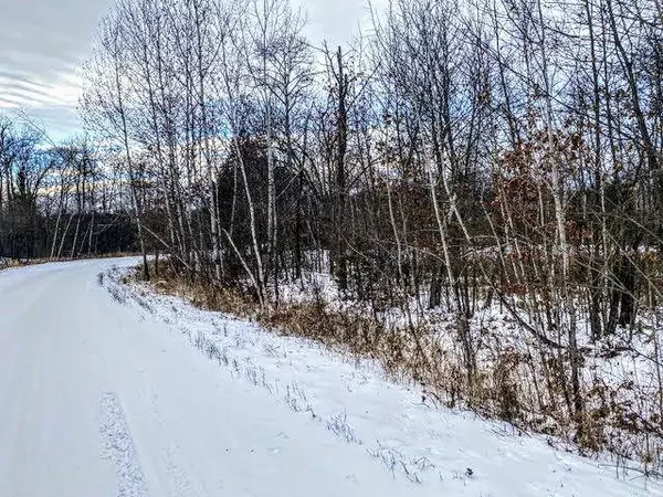 28xxx S Pine View Beach RD, Brook Park, MN 55007