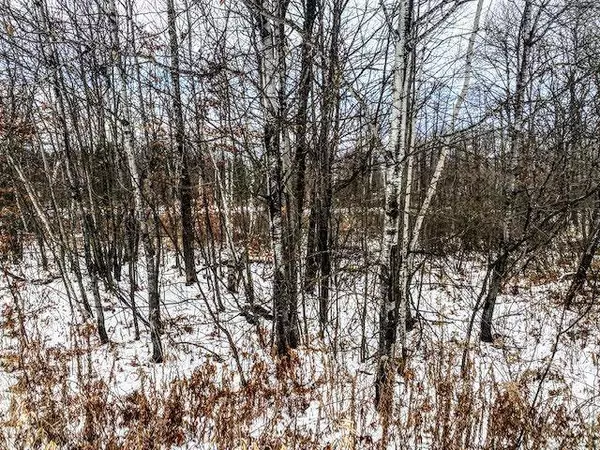 28xxx S Pine View Beach RD, Brook Park, MN 55007