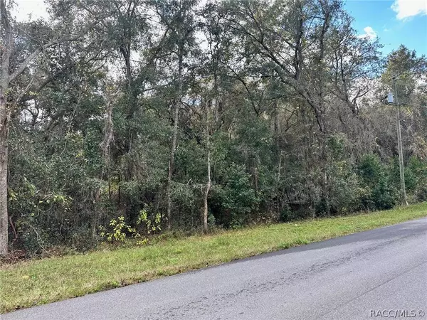 3072 E Timberwood CT, Hernando, FL 34442