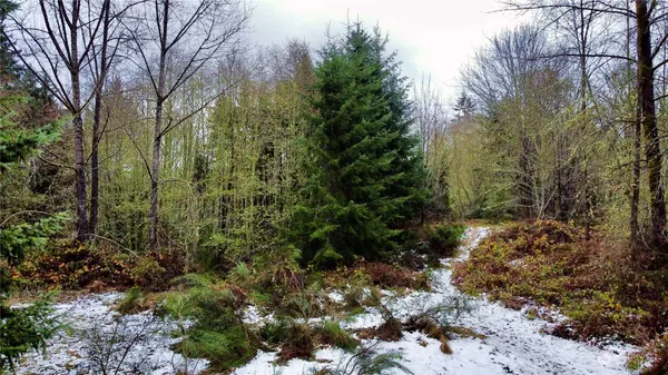 7702 144th Street Ct NW, Gig Harbor, WA 98329