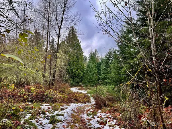 7702 144th Street Ct NW, Gig Harbor, WA 98329