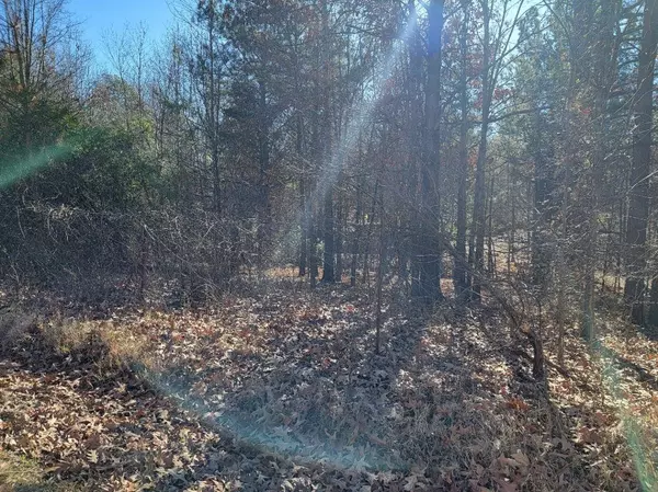 9893 BRUNSWICK RD, Atoka, TN 38004