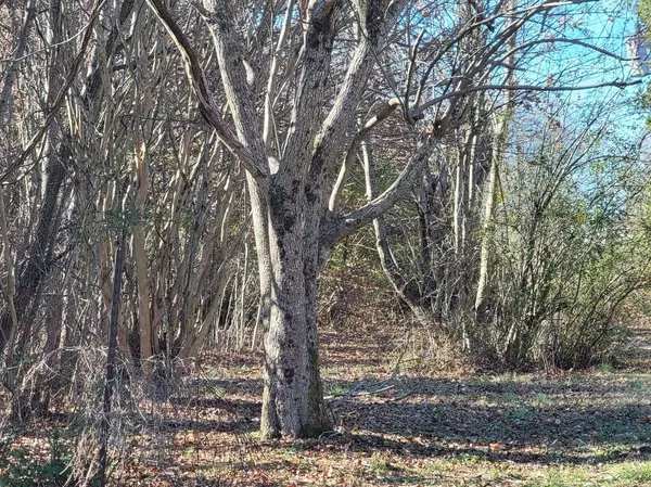 9893 BRUNSWICK RD, Atoka, TN 38004