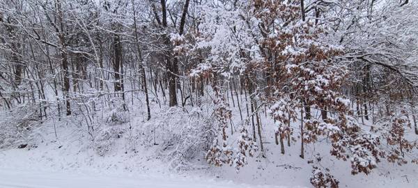 XX Willow Way, Shelby, WI 54601