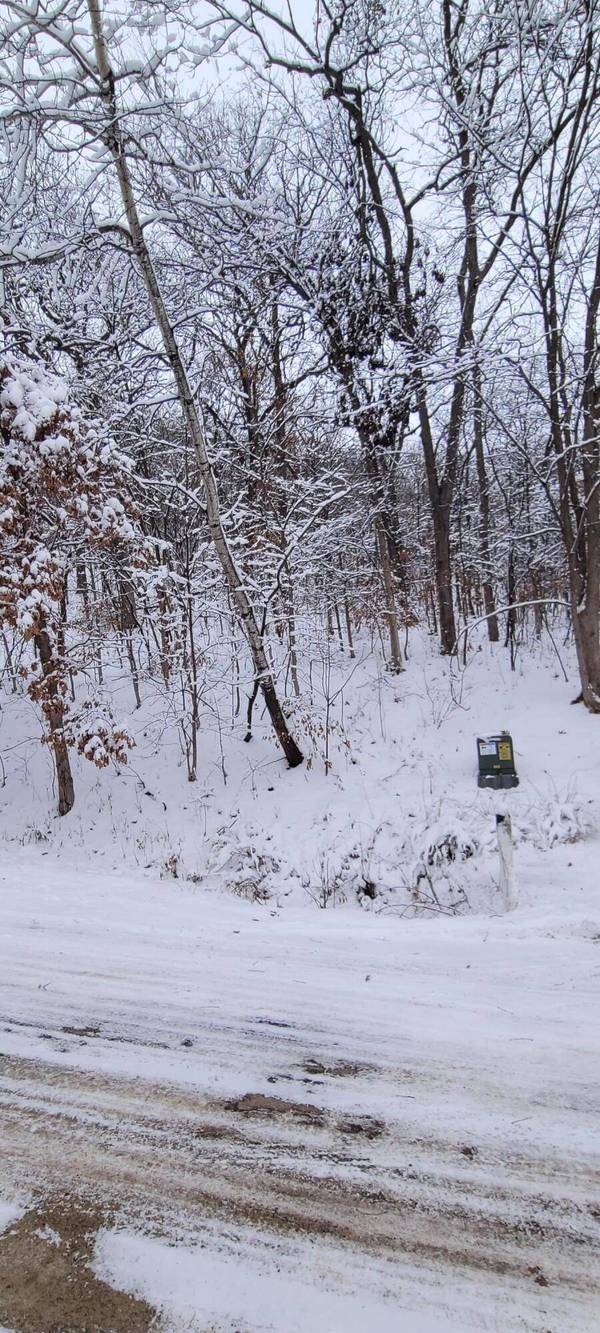 XX Willow Way, Shelby, WI 54601