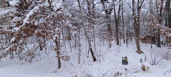 XX Willow Way, Shelby, WI 54601