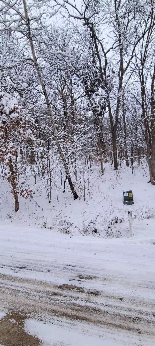 XX Willow Way, Shelby, WI 54601