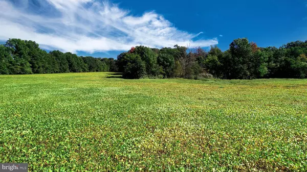 SASSAFRAS RD, Warwick, MD 21912