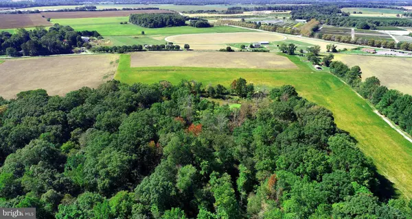 SASSAFRAS RD, Warwick, MD 21912