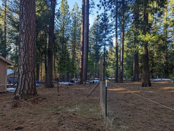 0 6946 Pioneer Dr, Grizzly Flats, CA 95636