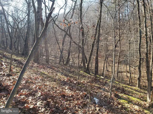 471 OAK FOREST LN, Berkeley Springs, WV 25411