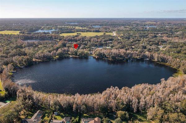 19105 FORREST DR, Odessa, FL 33556