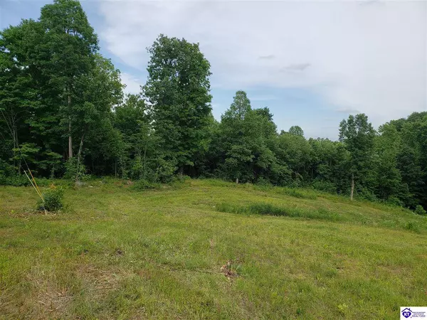 Lot 21 & 22 Beverly Hills Drive, Leitchfield, KY 42754