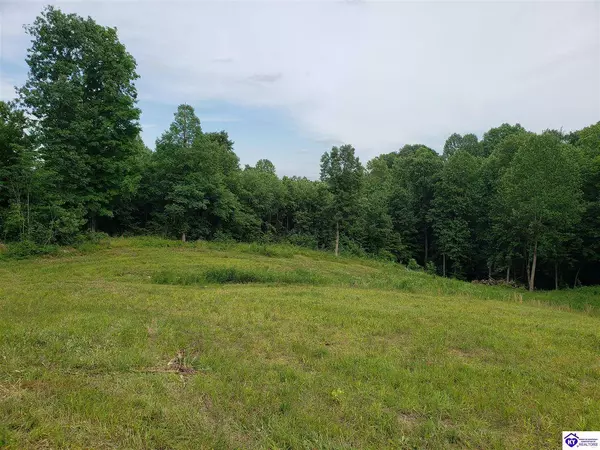 Lot 21 & 22 Beverly Hills Drive, Leitchfield, KY 42754