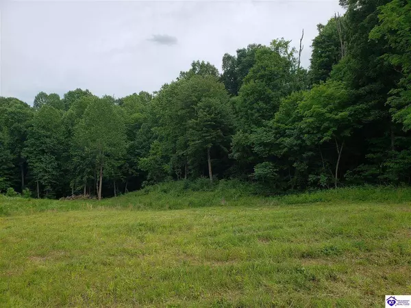 Lot 21 & 22 Beverly Hills Drive, Leitchfield, KY 42754