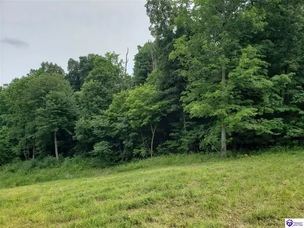 Lot 21 & 22 Beverly Hills Drive, Leitchfield, KY 42754