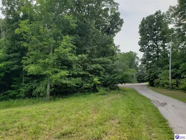 Lot 21 & 22 Beverly Hills Drive, Leitchfield, KY 42754