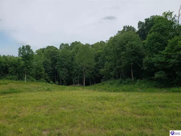 Lot 21 & 22 Beverly Hills Drive, Leitchfield, KY 42754