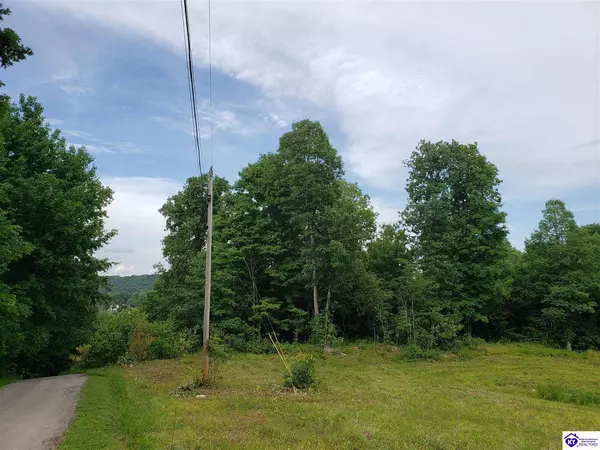 Lot 21 & 22 Beverly Hills Drive, Leitchfield, KY 42754