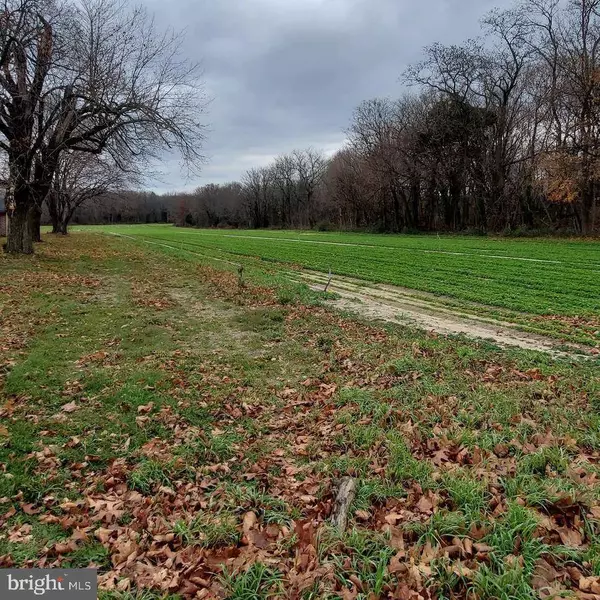 732 E GRANT AVE, Vineland, NJ 08360