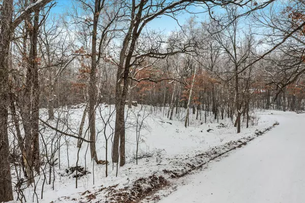 9225 63rd ST N, Grant, MN 55082