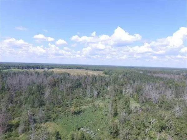 TBD County Highway 133, Meadowlands, MN 55765