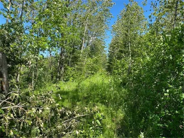 TBD County Highway 133, Meadowlands, MN 55765