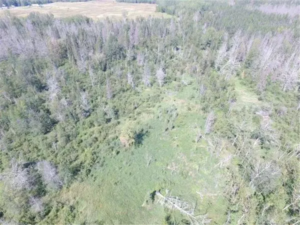 TBD County Highway 133, Meadowlands, MN 55765